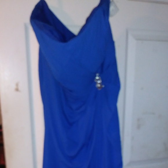 David Bridal's Bridesmaid Dress - Picture 5 of 5